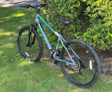 Psycho Mountain Bike