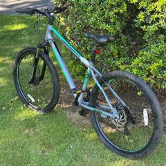 Psycho Mountain Bike