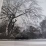 Framed Black And White Photo Print. Image 8