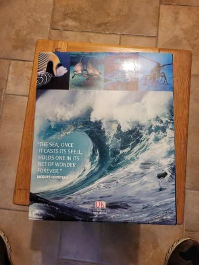 OCEAN - The Worlds Last Wilderness Revealed by Fabien Cousteau.