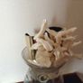 Elegant bangle gold Mother pearl Image 2