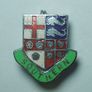 RAILWAY COMPANY (logos & crests) - 9 x quality enamel badges (1970s to early 1990s). Lot C Image 3