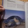 Understanding RAW Photography (Hardcover) Image 7
