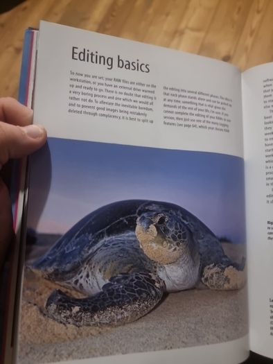 Understanding RAW Photography (Hardcover)