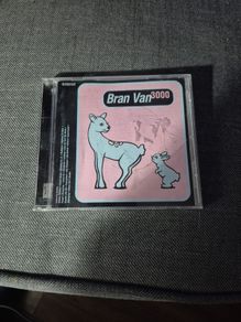 Bran Van 3000