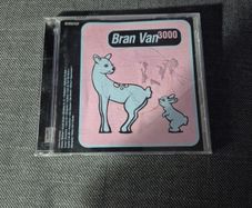 Bran Van 3000