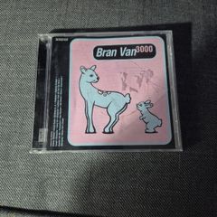 Bran Van 3000