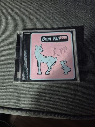 Bran Van 3000