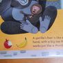 zoo book flip/flap Image 6