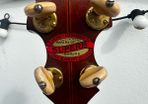 Epiphone Superb Professional Tenor banjo