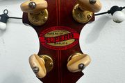 Epiphone Superb Professional Tenor banjo