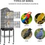 Bird Cage with Bird Toys Cage Toy Budgie Cage Cockatiel Finch Parrot Cage with Bird Stairs Image 2