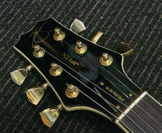 Machine heads tuners set gold from Peavey JF-1 EX Semi-Hollow ES-335 Style Peavey USA  electric guitar parts accessories
