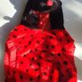 Ladybird Halloween Outfit (18 - 30 month old/2 year old) Image 2