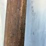 Vintage wooden oars Image 3