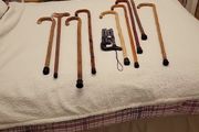 Walking sticks
