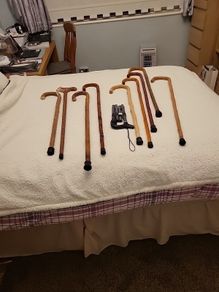 Walking sticks
