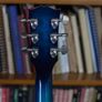 Gibson ES335 Image 3