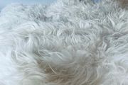 Genuine Icelandic Sexto Sheepskin Rug Extra Large (160cm x 140cm)