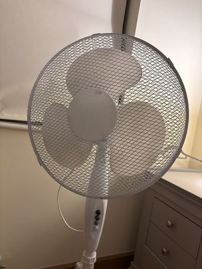 fan