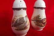 Royal Worcester Palissy Game Series  Salt &amp; Pepper