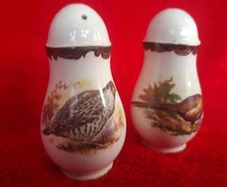 Royal Worcester Palissy Game Series  Salt & Pepper