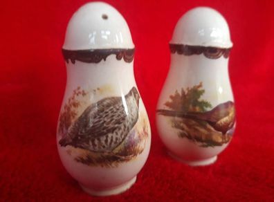 Royal Worcester Palissy Game Series  Salt & Pepper