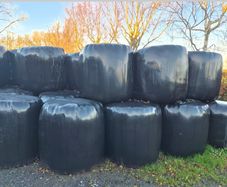 haylage