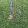 wooden swing set Image 5