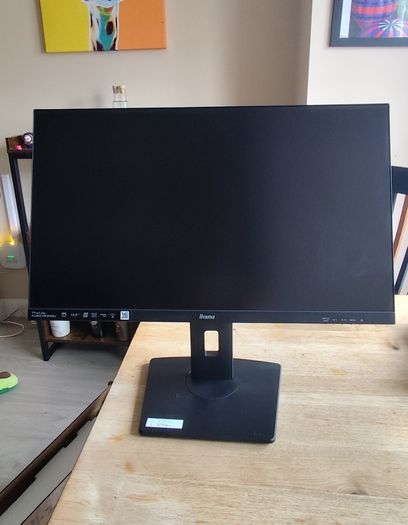 iiyama 24" IPS Monitor