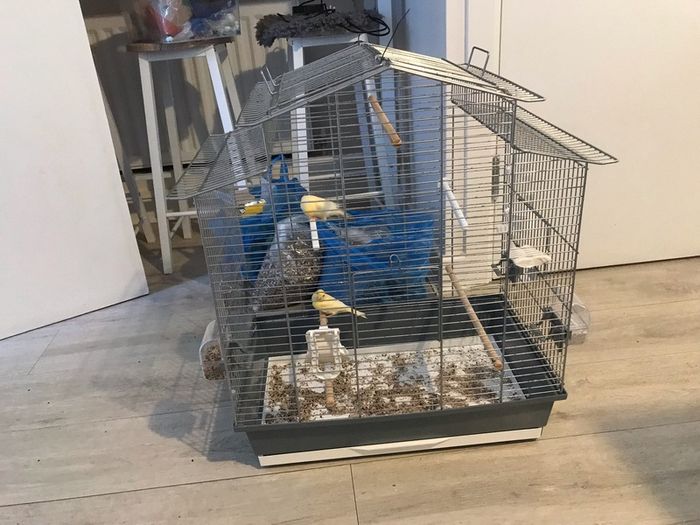 cage