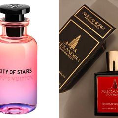 Louis Vuitton City of Stars Clone. Alexandria.