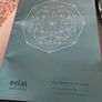 boll pointed Image 2