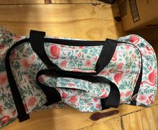 Travel cabin bag