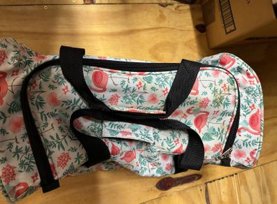 Travel cabin bag