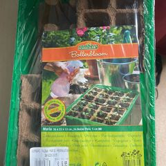 Propagator