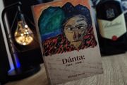 Danta: 1966-1998 ! by Michael Davitt ! Irish Book ! 2009 !
