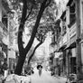 Rollei 35 S 35mm film camera Image 6
