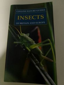 Fact Book (x4) about Insects, Wild Flowers, Trees and the Night Sky