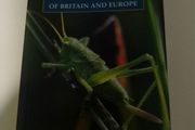 Insects of Britain and Europe