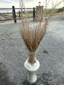big vase