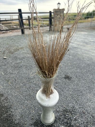 big vase