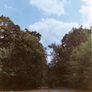 35mm Film Camera Image 8