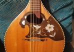 Mandolin