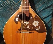 Mandolin