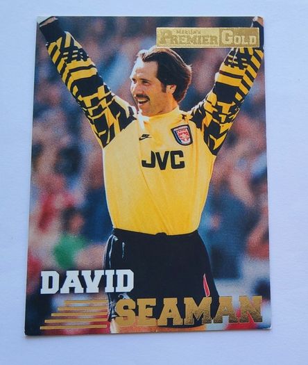 David Seaman 1996 Merlin Premier Gold  #006