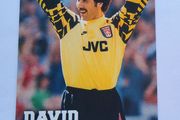 David Seaman 1996 Merlin Premier Gold  #006