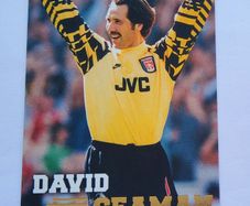 David Seaman 1996 Merlin Premier Gold  #006