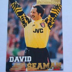 David Seaman 1996 Merlin Premier Gold  #006