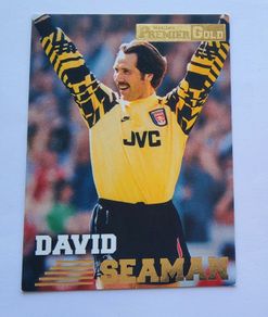 David Seaman 1996 Merlin Premier Gold  #006